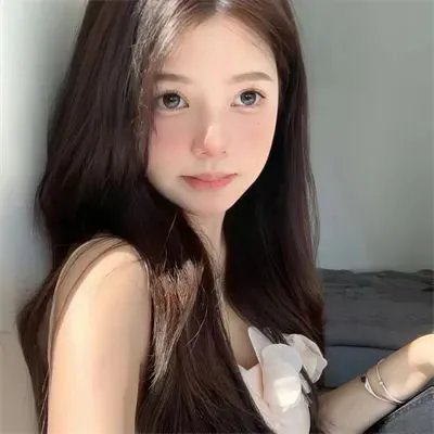 高速公路家族